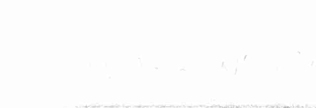 גיבתון לבן-גרון - ML613123634