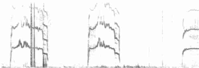 Перуанская качурка - ML613123809