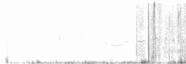 Перуанская качурка - ML613124086
