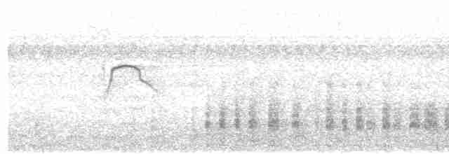 Amerika-Schlangenhalsvogel - ML613124792