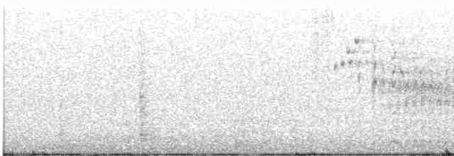 potápka nejmenší - ML613124828