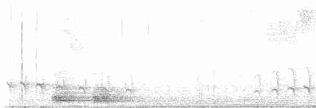 Каатинга великодзьоба - ML613125119
