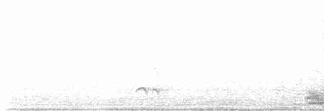 Large-billed Antwren - ML613125120