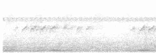 holoubek šedomodrý - ML613125157