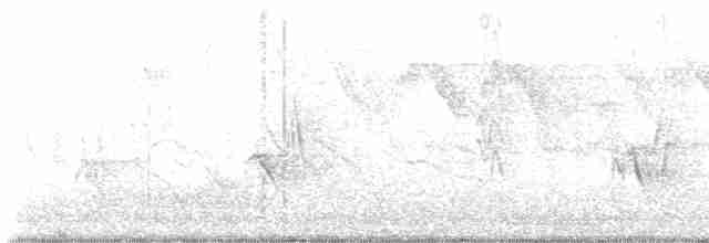 Yakut Taçlı Tangara - ML613125623