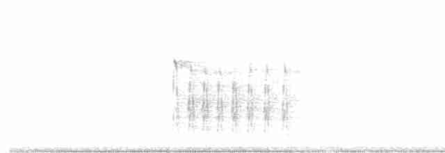 strakapoud bělohlavý - ML613129081