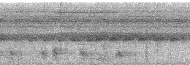 Ochre-striped Antpitta - ML61313