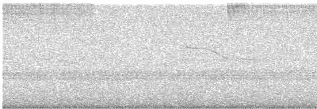 Band-winged Nightjar - ML613131301