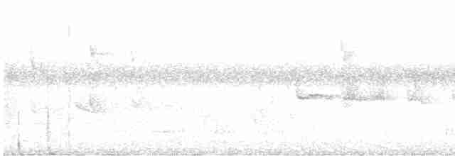 Slender-billed White-eye - ML613131690