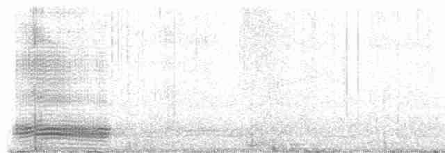 Ворона великодзьоба - ML613134169