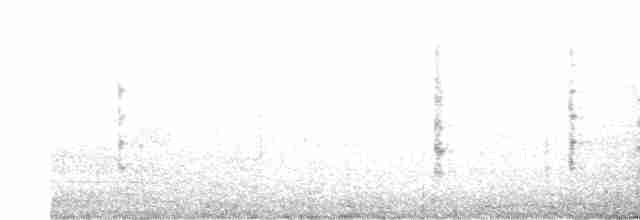 White-tailed Tropicbird - ML613134757