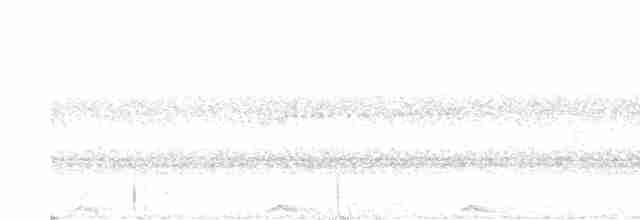 Сова-лісовик бура [група virgata] - ML613135014