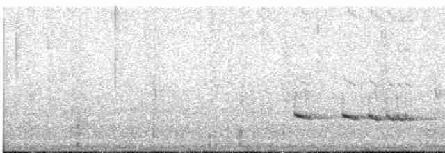Мурашниця екваторіальна - ML613137549