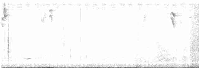kolibřík modrokřídlý - ML613137568