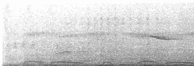 Eurasian Collared-Dove - ML613137761