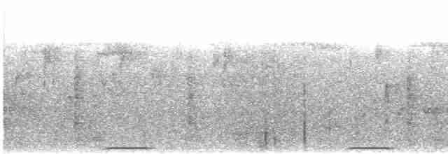 Kara Boğazlı Bronz Kumru - ML613141841