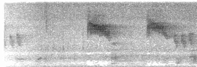 Troglodyte montagnard - ML613141992