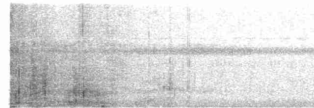 Lattice-tailed Trogon - ML613142151
