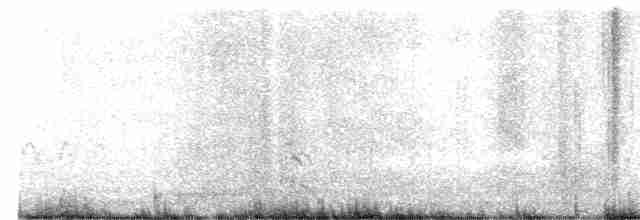 ארנריה אדמונית - ML613143640