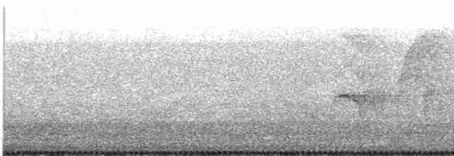 Kestane Kulaklı Arapbülbülü - ML613148232