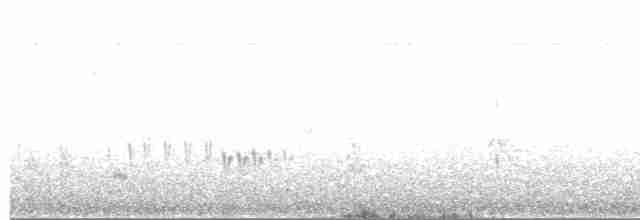 Тітіріджі білочеревий - ML613150141