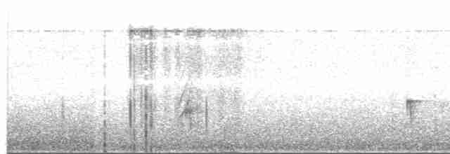 Dreibinden-Olivtyrann - ML613150169