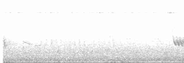 Chivi Vireo - ML613150197