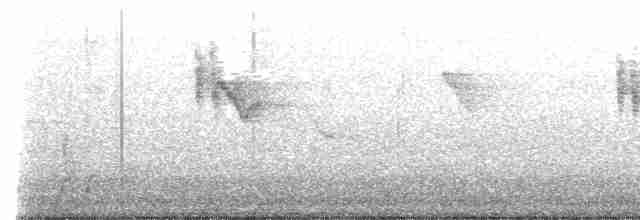 Arctic Warbler - ML613150628