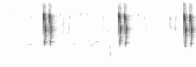 Cistícola Buitrón (grupo tinnabulans) - ML613152596