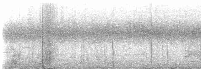 Сріблодзьоб чорногузий - ML613153005