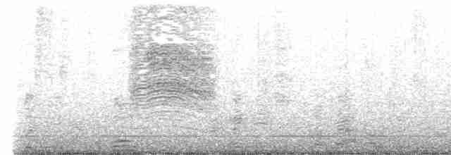 drozdec černohlavý - ML613153379