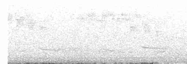 Белогорлая ложнопищуха - ML613154740