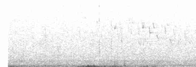 Шиподзьоб жовтогузий - ML613154755