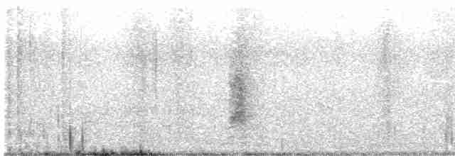 חרטומית סיבירית - ML613155169