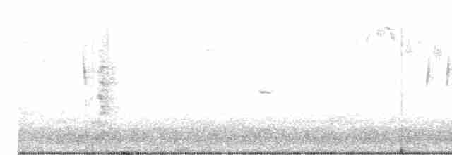 Шиподзьоб жовтогузий - ML613155321