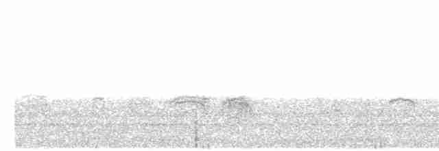 Гаїчка-пухляк звичайна [група montanus] - ML613156465