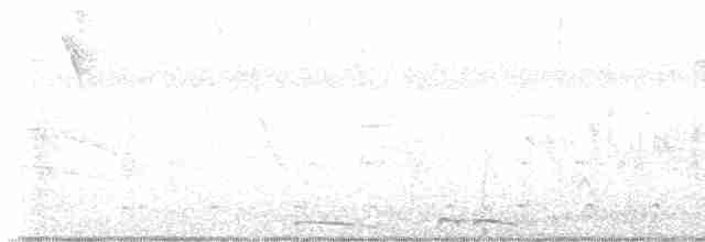 Graubrust-Olivtyrann - ML613157727