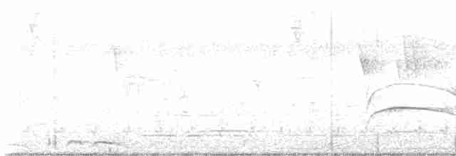 Светлоголовый тиранн - ML613157930