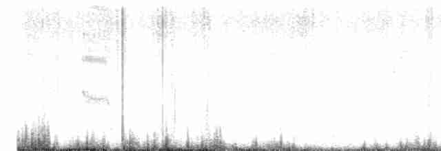 黑腹燕鷗 - ML613158457