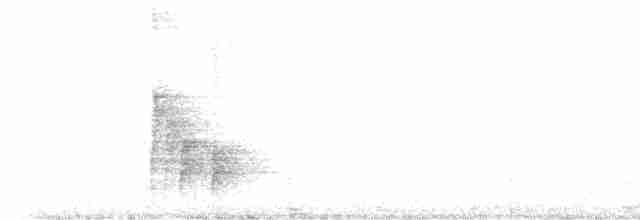 Піранга пломениста - ML613160373