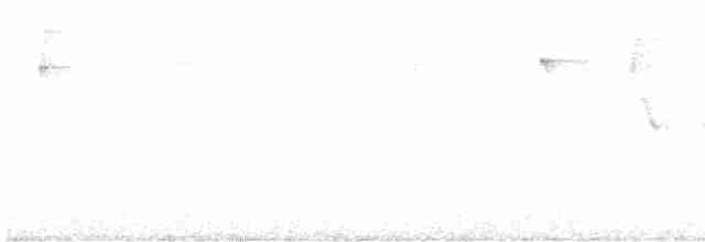 Ошейниковая канделита - ML613160961