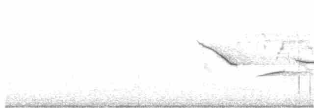Fox Sparrow - ML61316251
