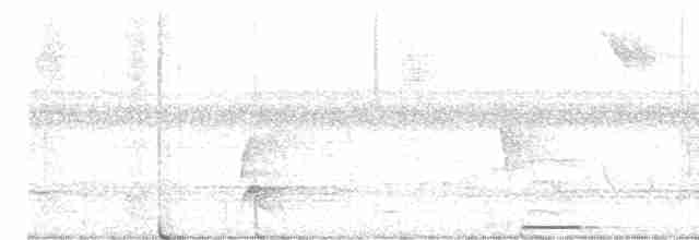 holoubek šedomodrý - ML613163985