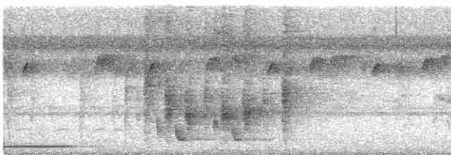Troglodyte grivelé - ML613165608