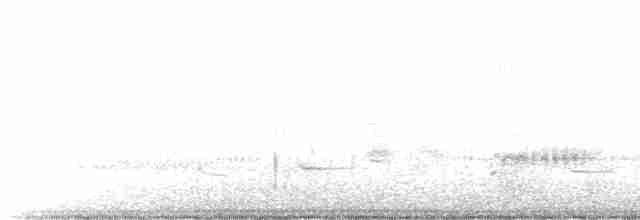 Western Grebe - ML613166160