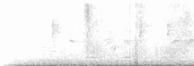 Nuttall's Woodpecker - ML613166258