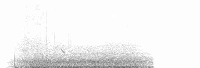 Белохвостый коршун - ML613166301