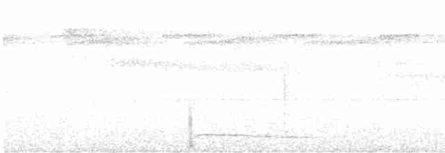 Safir Renkli Bıldırcın Kumrusu - ML613167635
