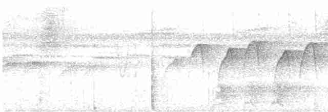 Ockerflecken-Ameisenwächter - ML613167752