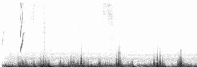 Землекоп блідий - ML613170162